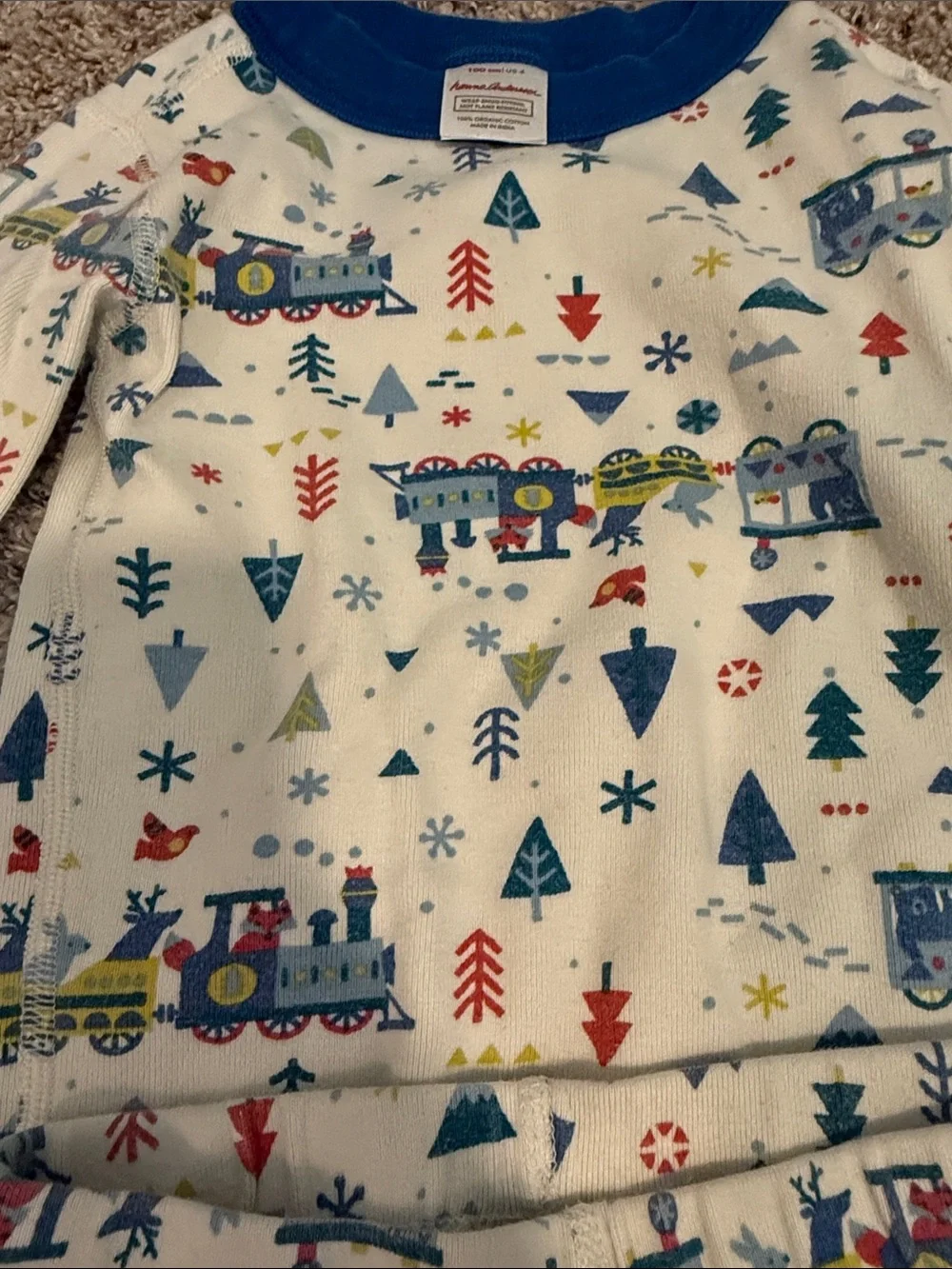 Hannah Anderson winter animal train print pajamas